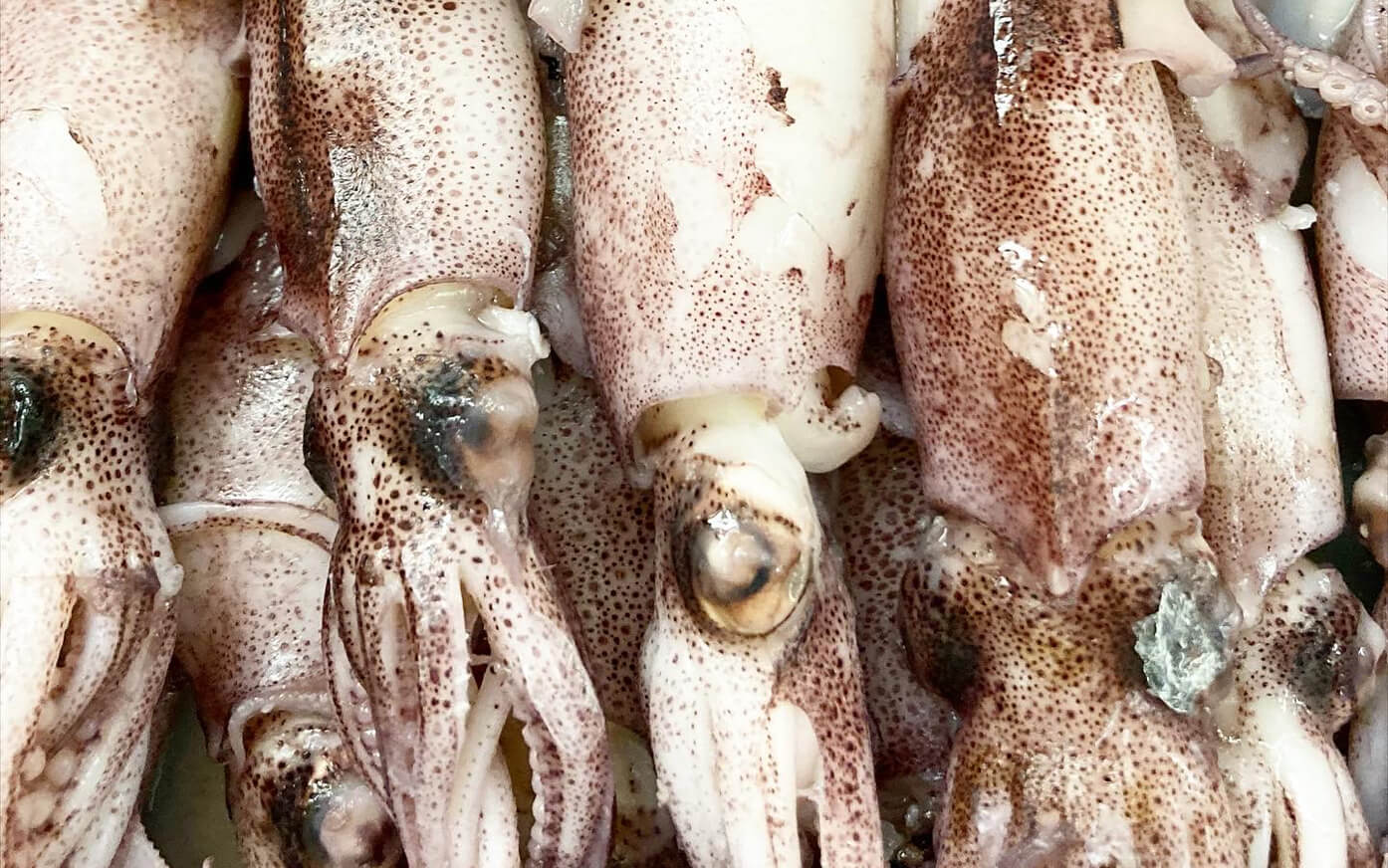 かんきちのこだわり4