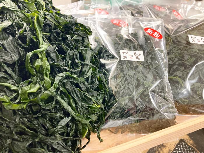 新物わかめ入荷しました